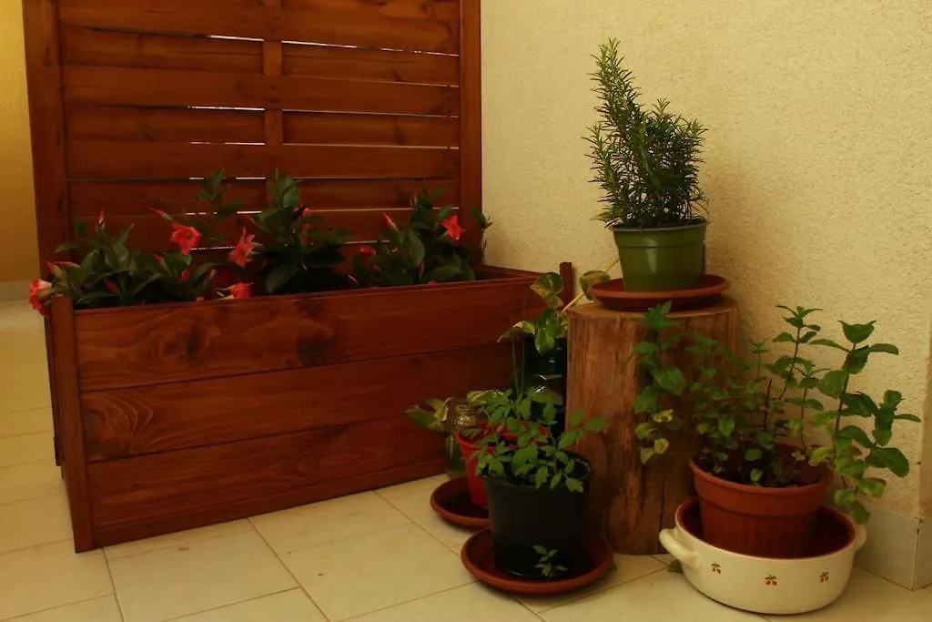 Casa Bruno Apartment Palermo